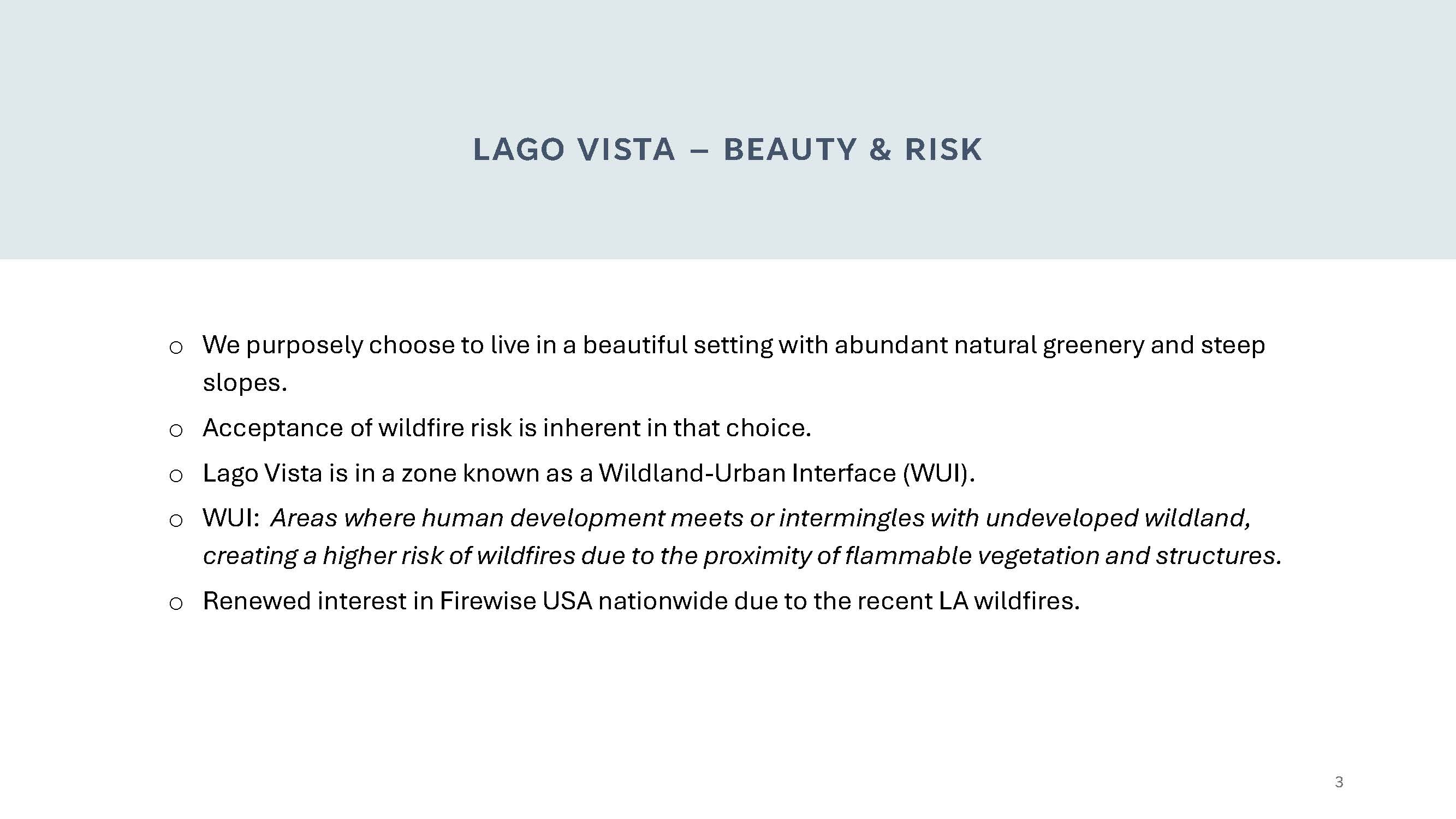 Lago Vista Firewise 2025.02.06 City Council Meeting 2_Page_03